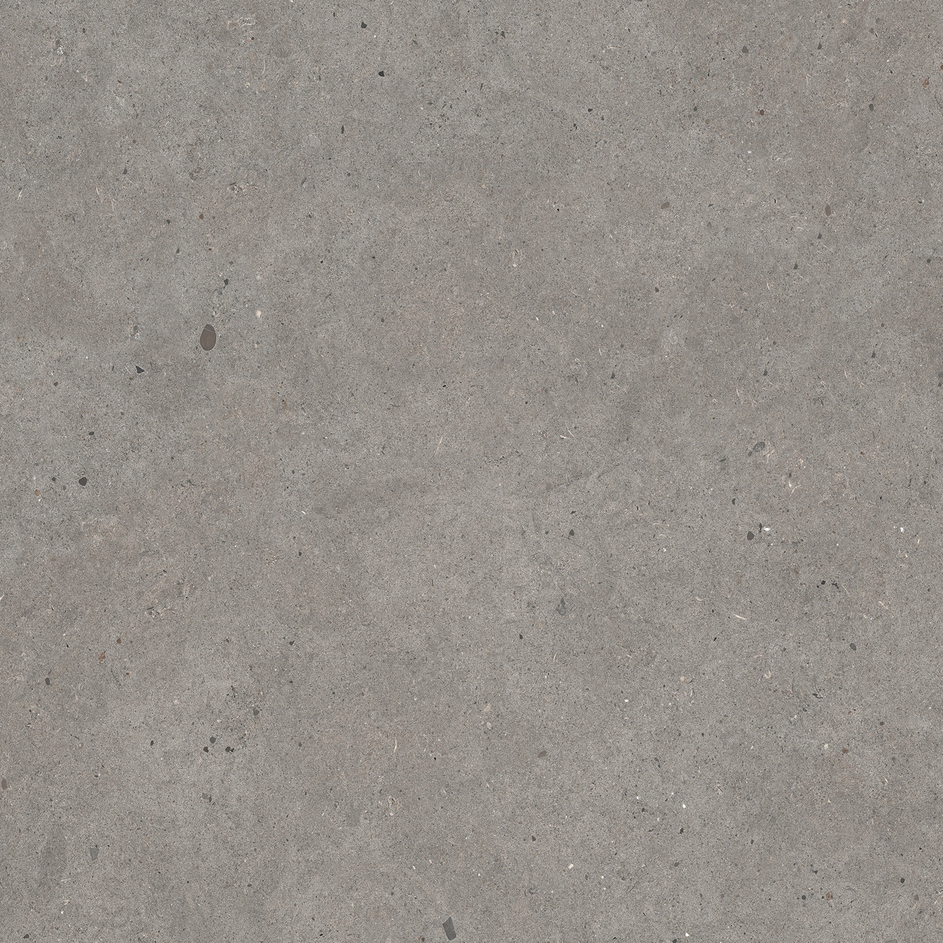 Evo_2 Elysian Gris Catalan R11C - RTT Terrassenplatte 