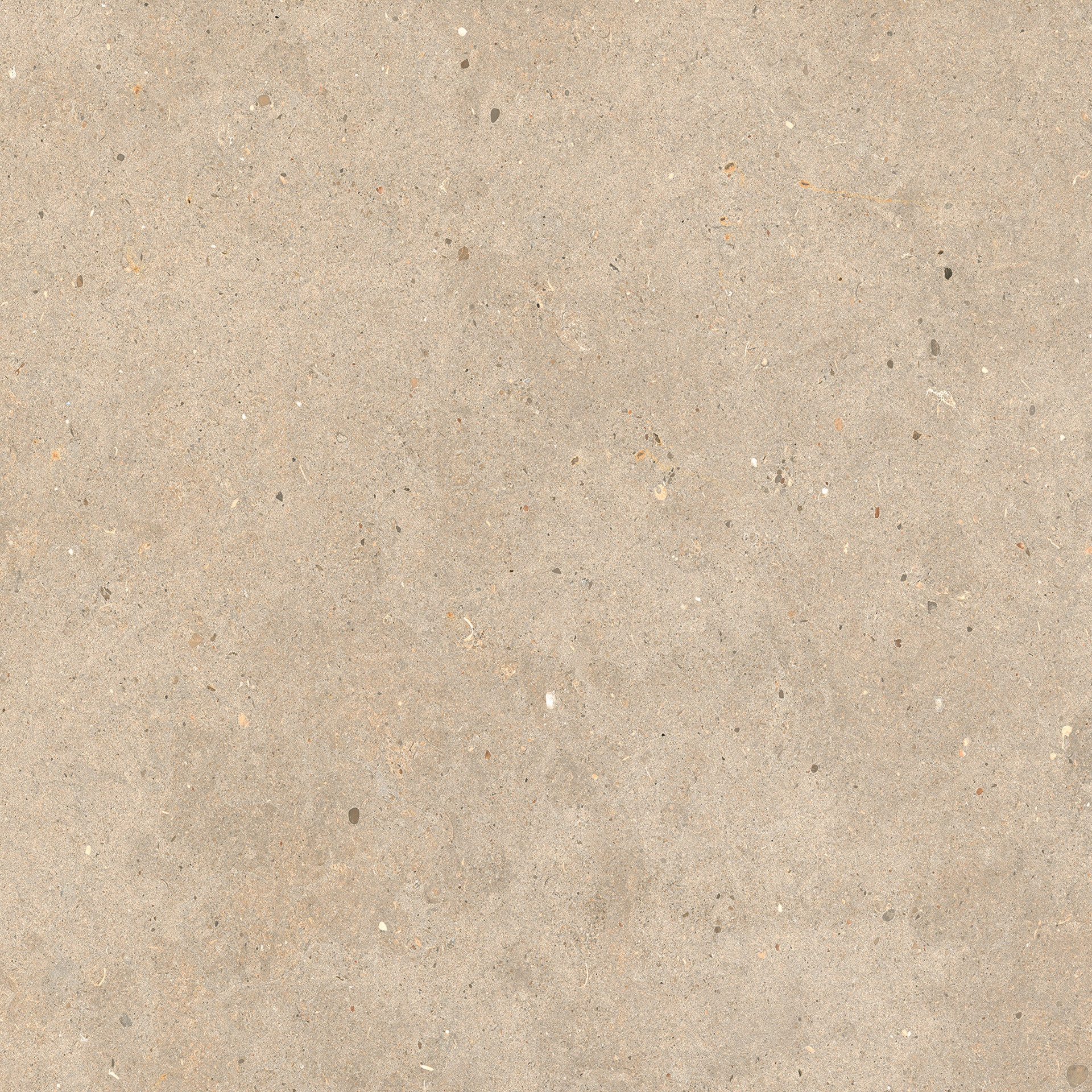 Elysian Gold Catalan R11C / RTT Boden