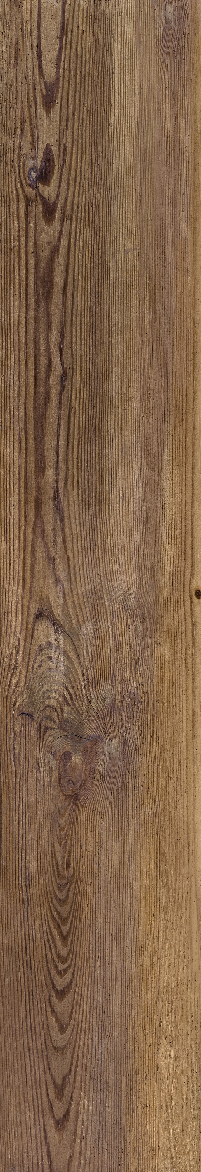 Castelvetro Aequa Castor R11C - RTT Boden